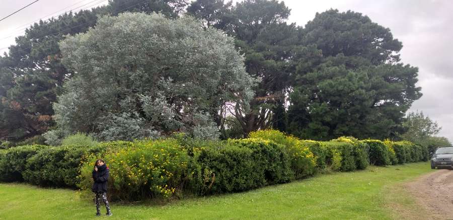 Luisa esquina Roberto, 