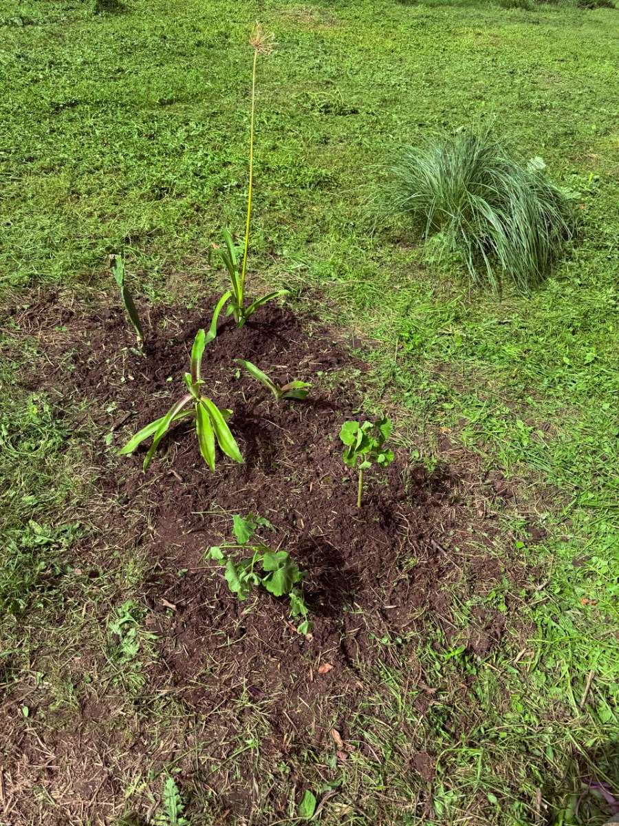 Excelente Terreno en La Plata en Venta · frente 30 m · largo 30 m · 900 m² de lote · dueño directo - Imagen 4