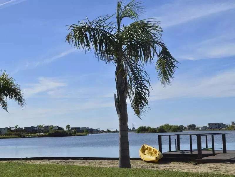 Terreno en Venta en Canning, · 996 m² de lote · barrio privado - Imagen 4