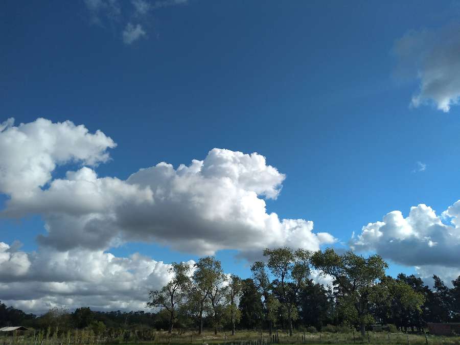 Campo disponible en Guernica · dueño directo · 4 o más dorm - Imagen 5
