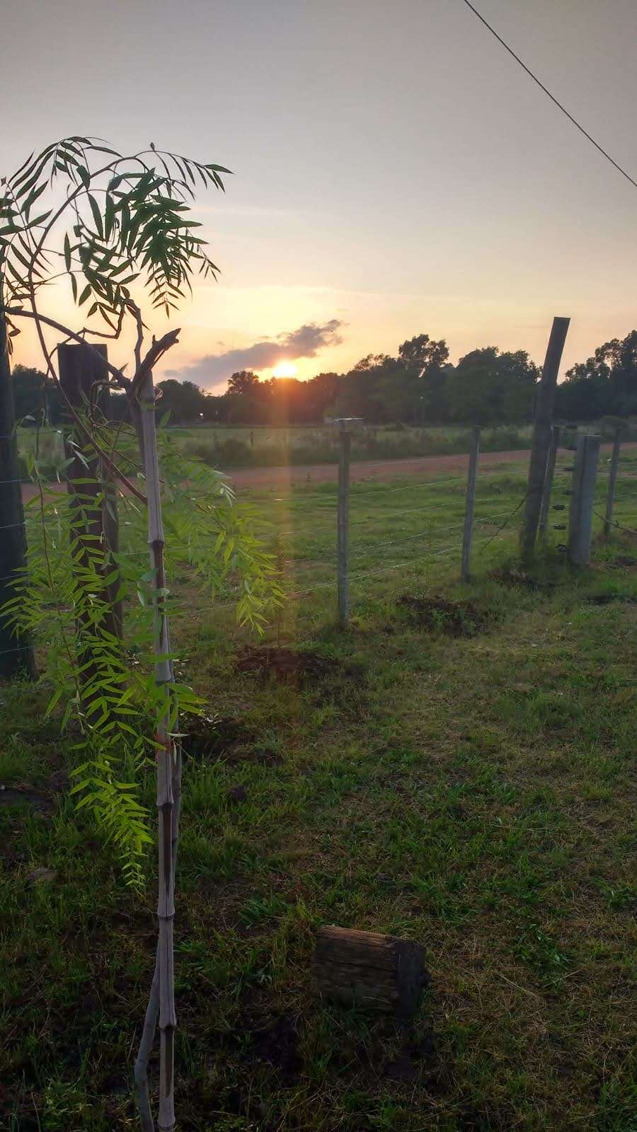 Campo  Guernica - Imagen