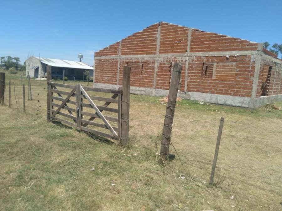 Campo  Guernica - Imagen