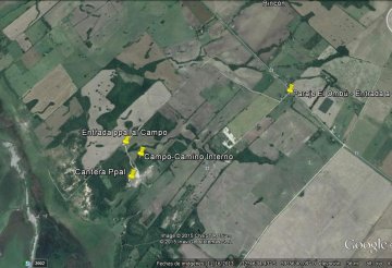 Vendo 40 hectáreas de campo mixto agricultura ganadería y monte , en rincón - Imagen 1