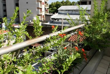 Dpto Estandar en Temporario Humboldt 2400, Palermo - Imagen 4