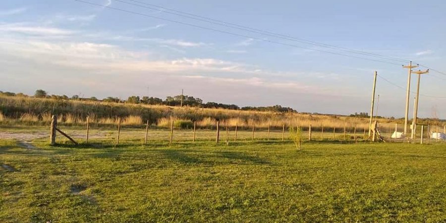 Terreno  Brandsen - Imagen