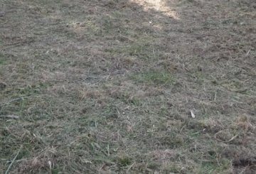 Comprar Terreno en Mar del Plata · frente 15 m · largo 33 m · 506 m² de lote · dueño directo - Imagen 2