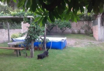 Terreno en Venta General José De San Martín 845, Vicente Lopez - Imagen 6