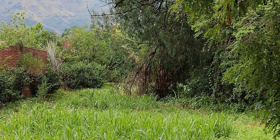 Terreno Merlo - Imagen