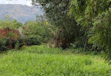 Comprar Terreno en Merlo · frente 10 m · largo 50 m · 500 m² de lote · dueño directo - Imagen 3