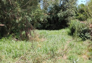 Comprar Terreno en Merlo · frente 10 m · largo 50 m · 500 m² de lote · dueño directo - Imagen 2