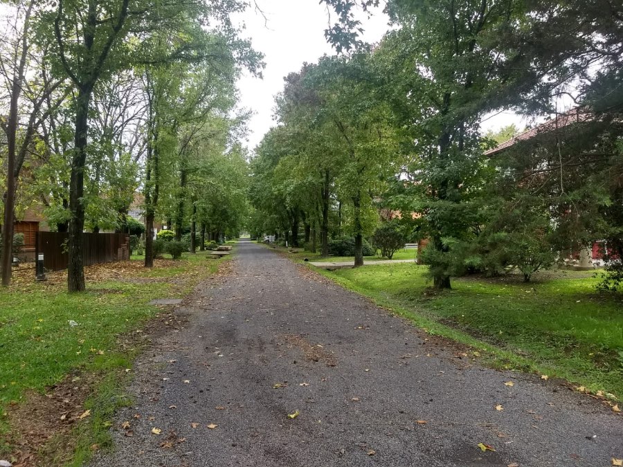 Los zorzales 20 Pueblo Esther, 