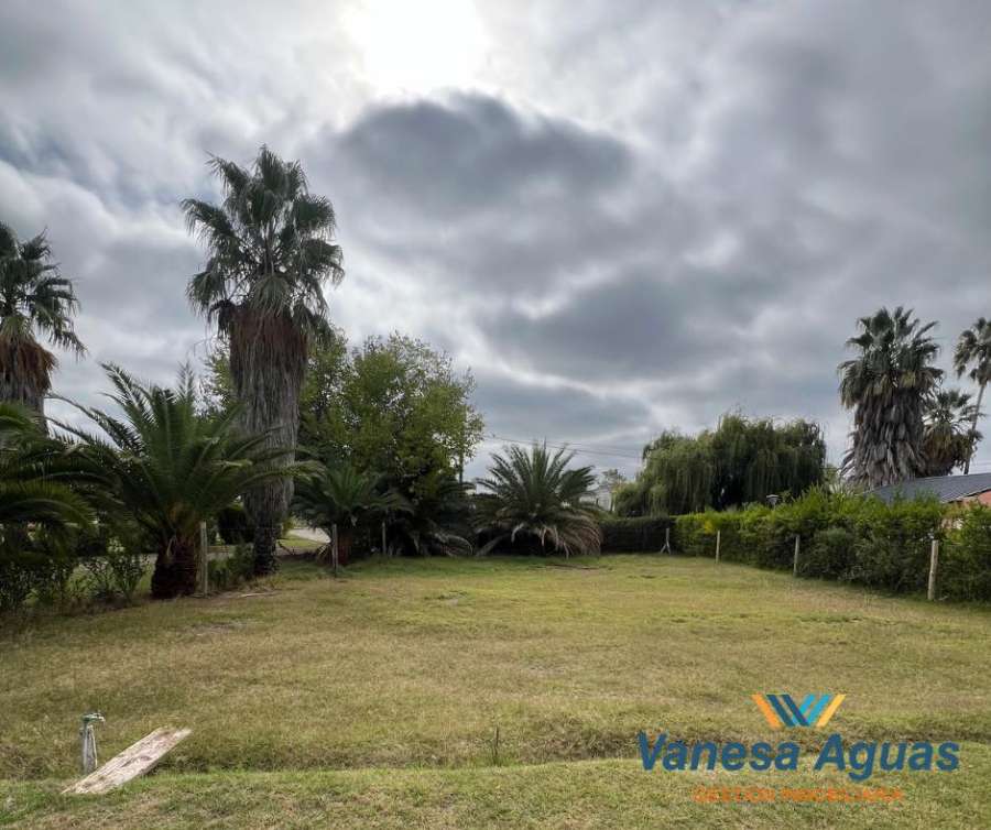 Lote en Venta Calle Agustín Alvarez, General Alvear - Imagen 2