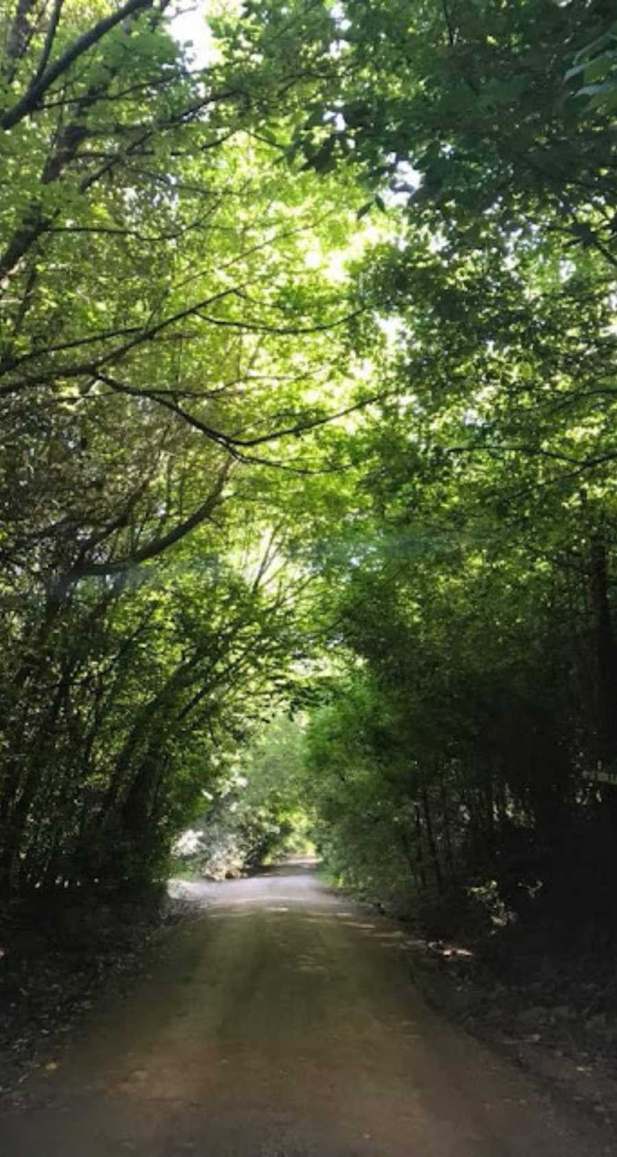 Casa Salsipuedes - Imagen