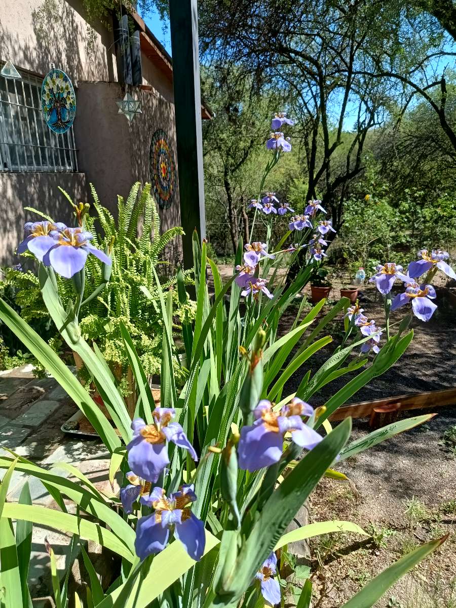 Casa Salsipuedes - Imagen