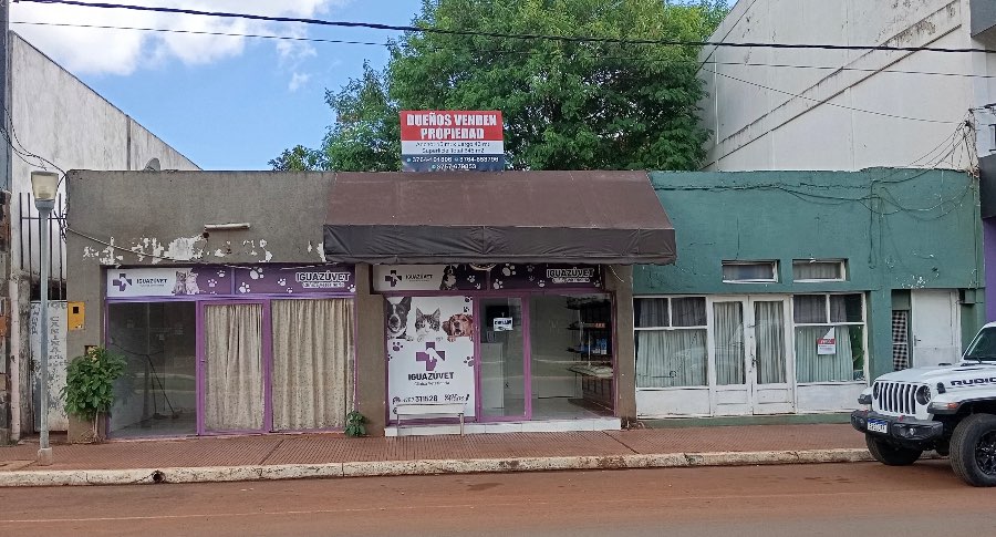 Avenida Victoria Aguirre 233, 