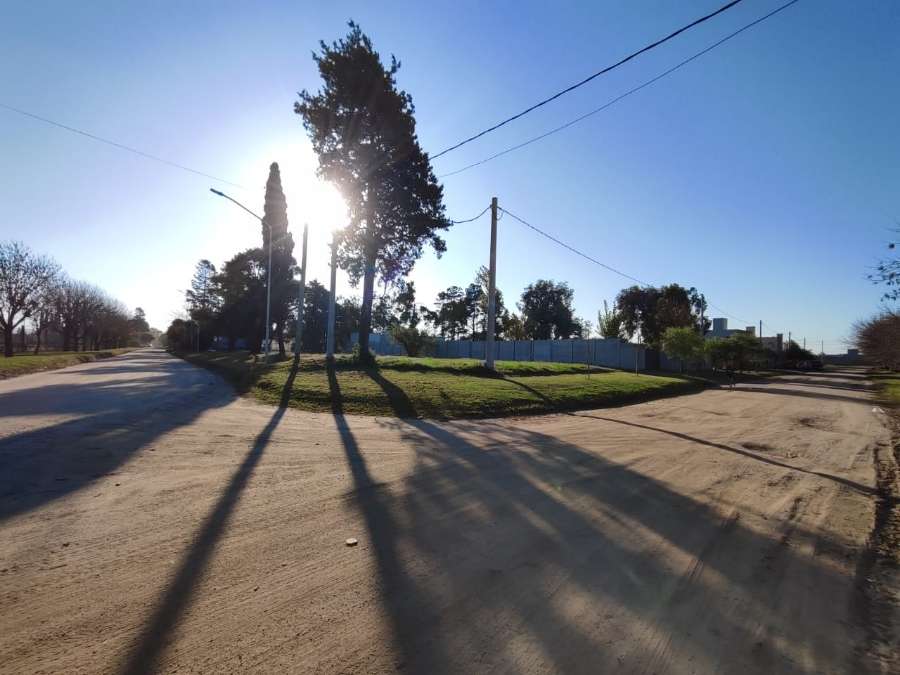 Pedro Nolasco Rodriguez 800, 