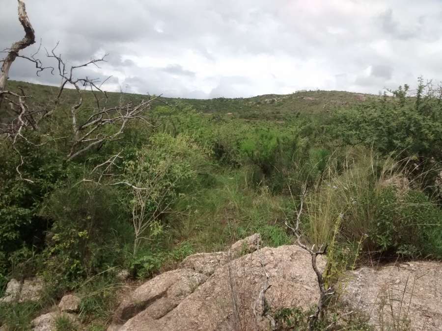 Los Quebrachos y Los talas, 