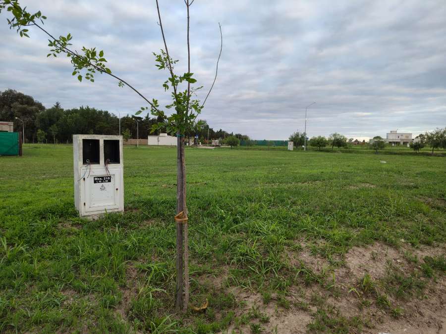 Terreno en Río Cuarto: en Venta - Imagen 2