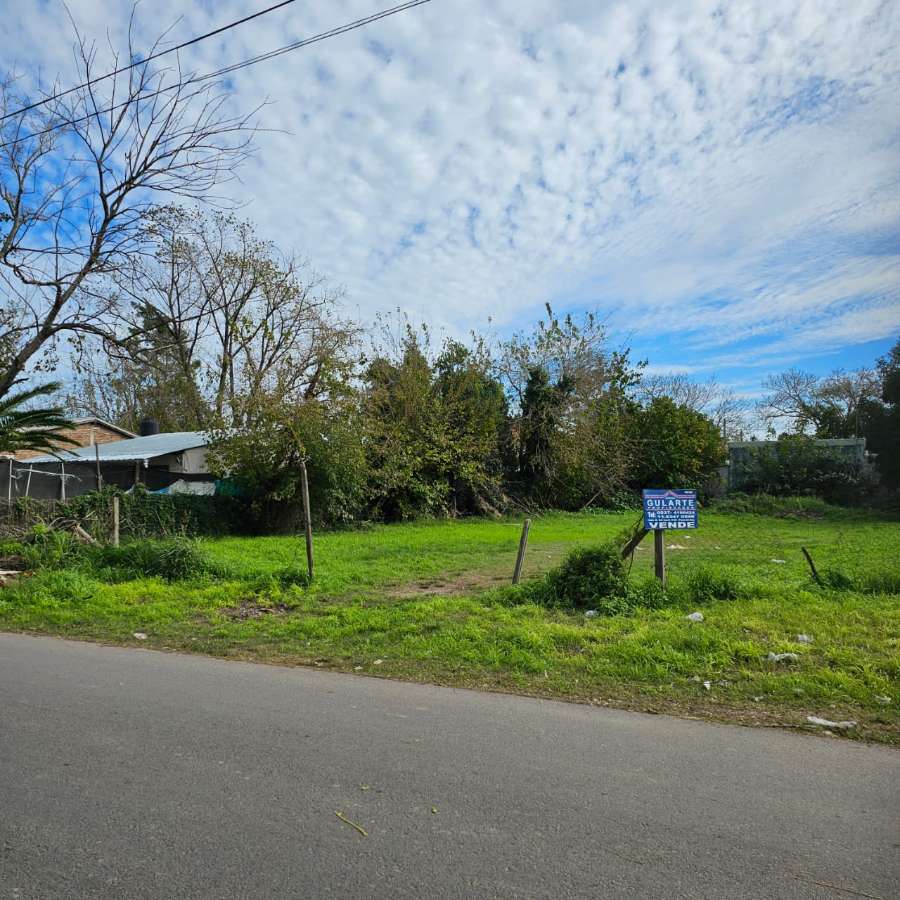 Terreno  Paso del Rey - Imagen