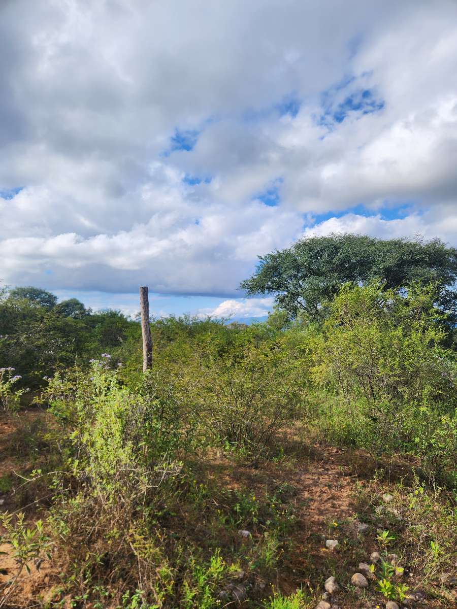 Campo en Venta en San Salvador de Jujuy con · dueño directo · 9 ha - Imagen 2