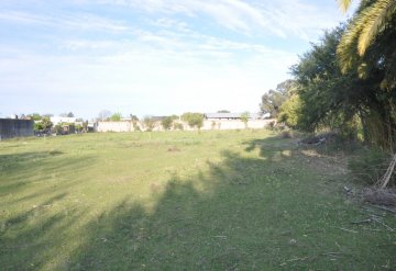 Casa disponible en Gualeguaychú · dueño directo · 3 dorm · cochera · 10.025 m² de lote - Imagen 5