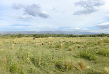 Terreno disponible en Nono · dueño directo - Imagen 1