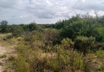 Terreno disponible en Nono · dueño directo - Imagen 4