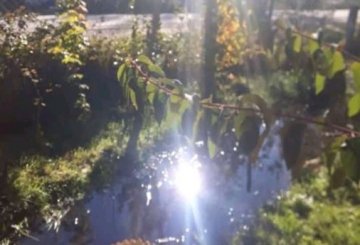 Casa disponible para la en Venta en Lago Puelo · dueño directo · 1 dorm · 520 m² de lote - Imagen 2