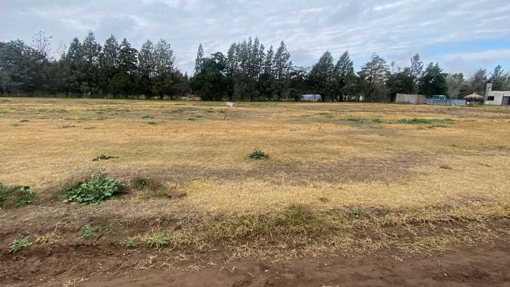Terreno en Río Cuarto: en Venta - Imagen 3