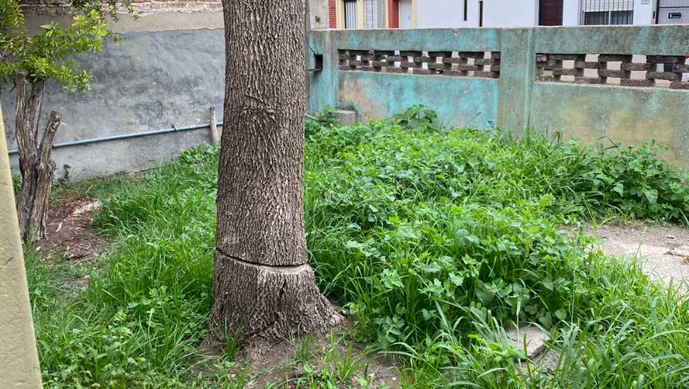 Prefabricada en Venta Dante Aliguieri 500, Avellaneda - Imagen 6