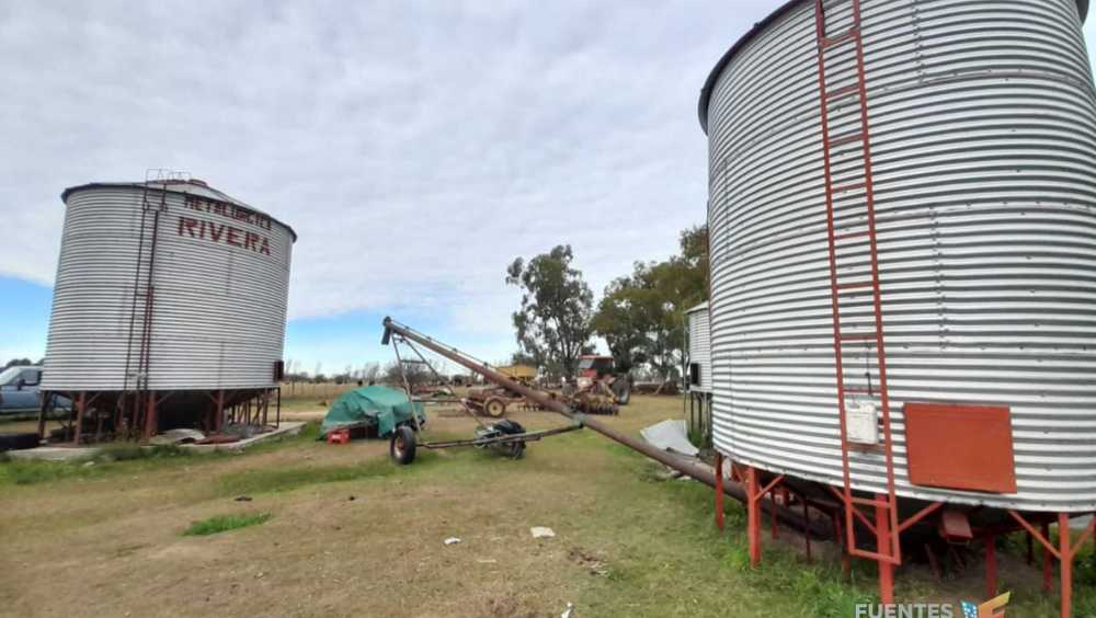 Campo  Colonia Baron - Imagen