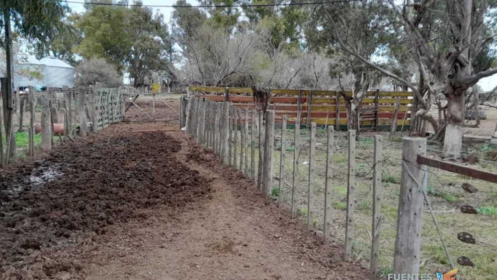 Campo  Colonia Baron - Imagen