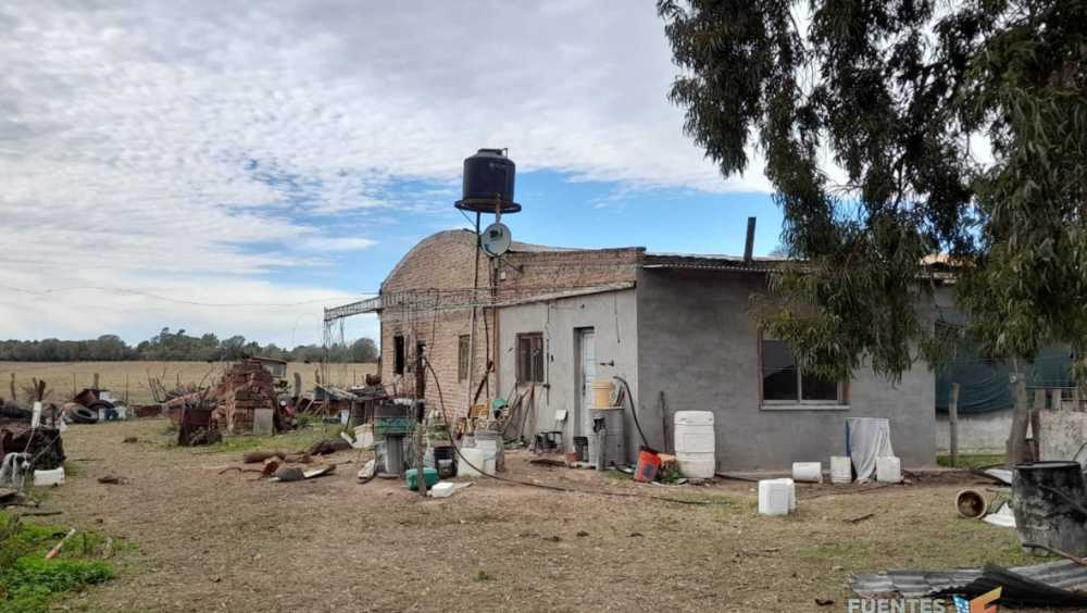 Campo  Colonia Baron - Imagen