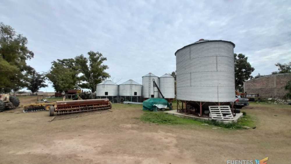 Campo  Colonia Baron - Imagen