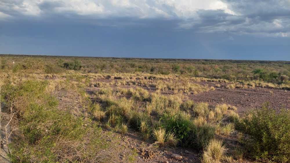 Terreno en Venta Ruta Pcial 62 , Rivadavia - Imagen 2