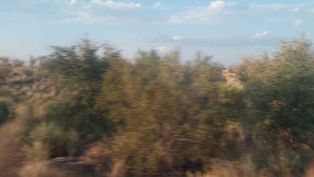 Terreno en Venta Ruta Pcial 62 , Rivadavia - Imagen 3