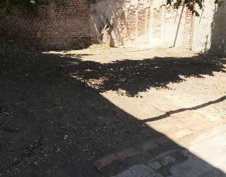 Casa en Ciudadela: en Venta · dueño directo · 2 dorm · 2 cocheras · 233 m² de lote - Imagen 3