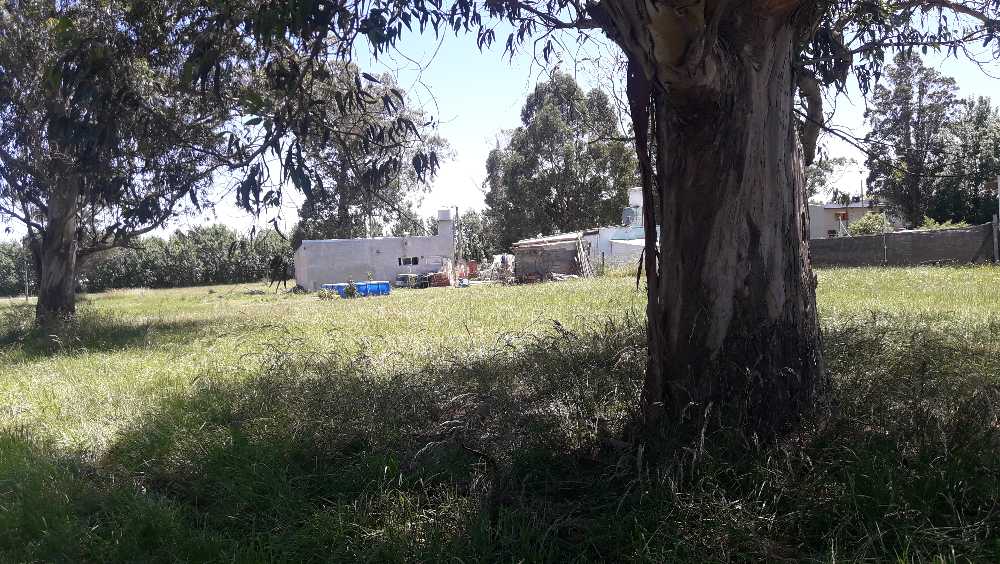 Comprar Campo en Santa Clara Del Mar · dueño directo · 405 ha - Imagen 3