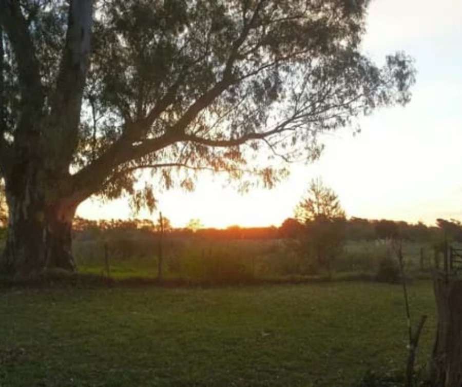 Terreno  La Plata - Imagen