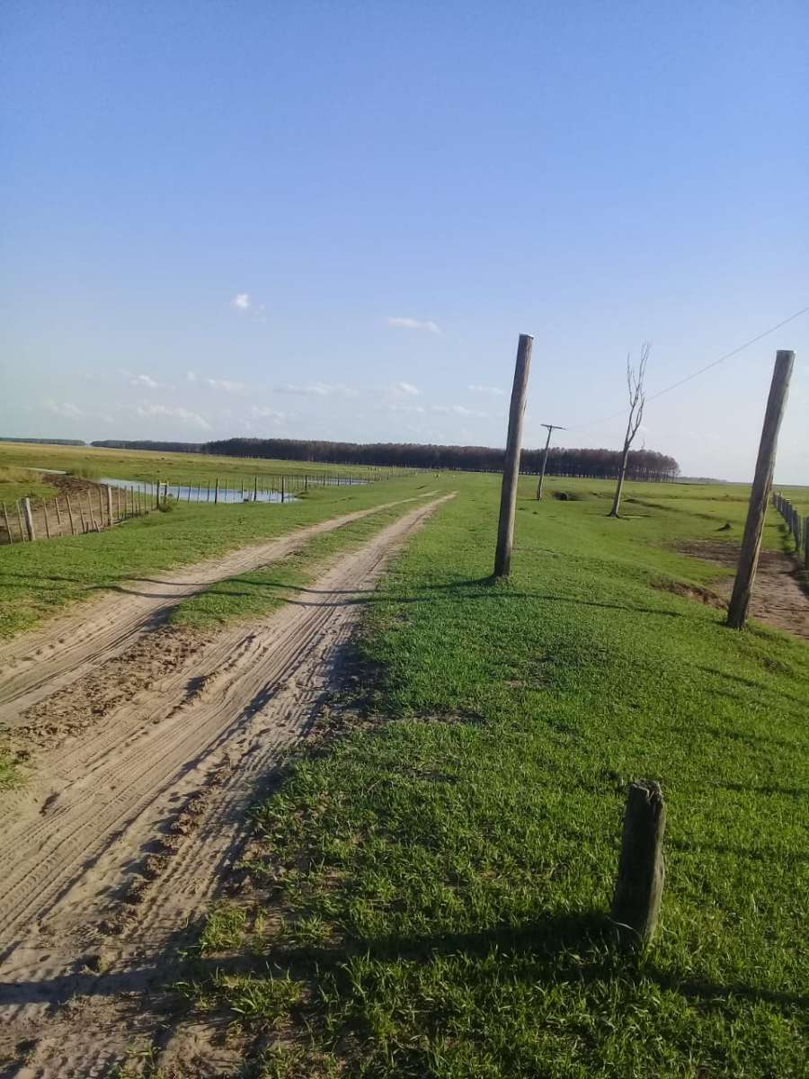 Campo en Corrientes en Alquiler · dueño directo · 5.500 ha - Imagen 1