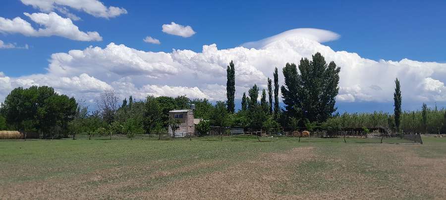 Campo  General Alvear - Imagen