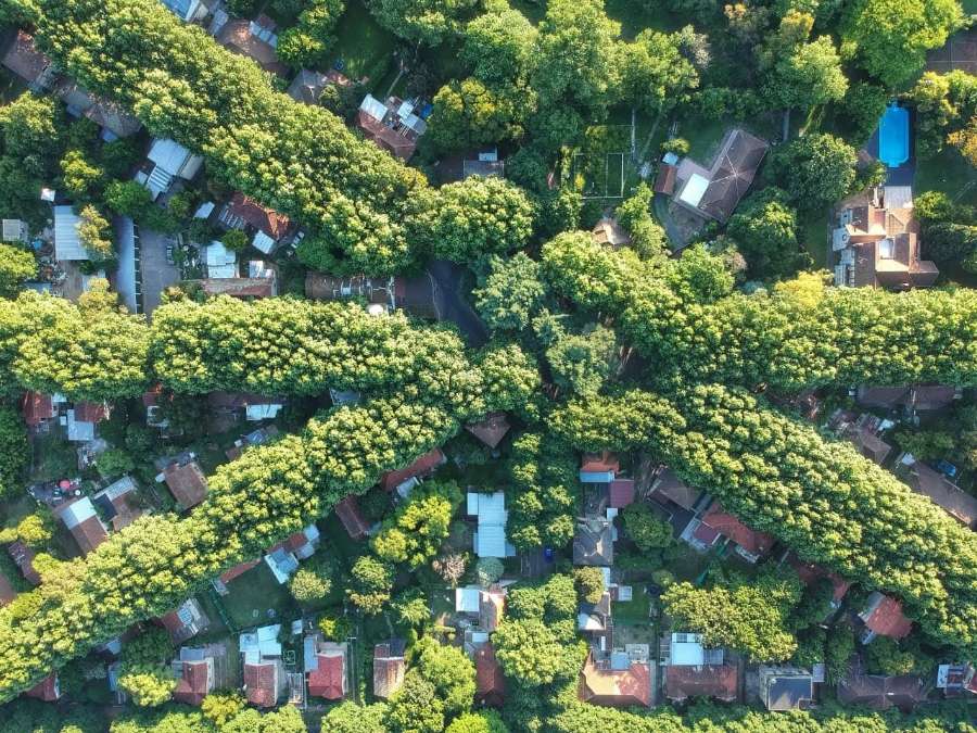 Campo en Venta en Quilmes con · No tiene dorm · 10 ha - Imagen 2