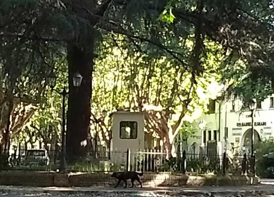 Campo en Venta en Quilmes con · No tiene dorm · 10 ha - Imagen 4