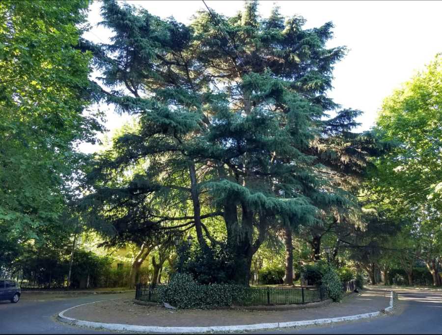 Casa de Campo en Venta Irala 550, Quilmes - Imagen 8