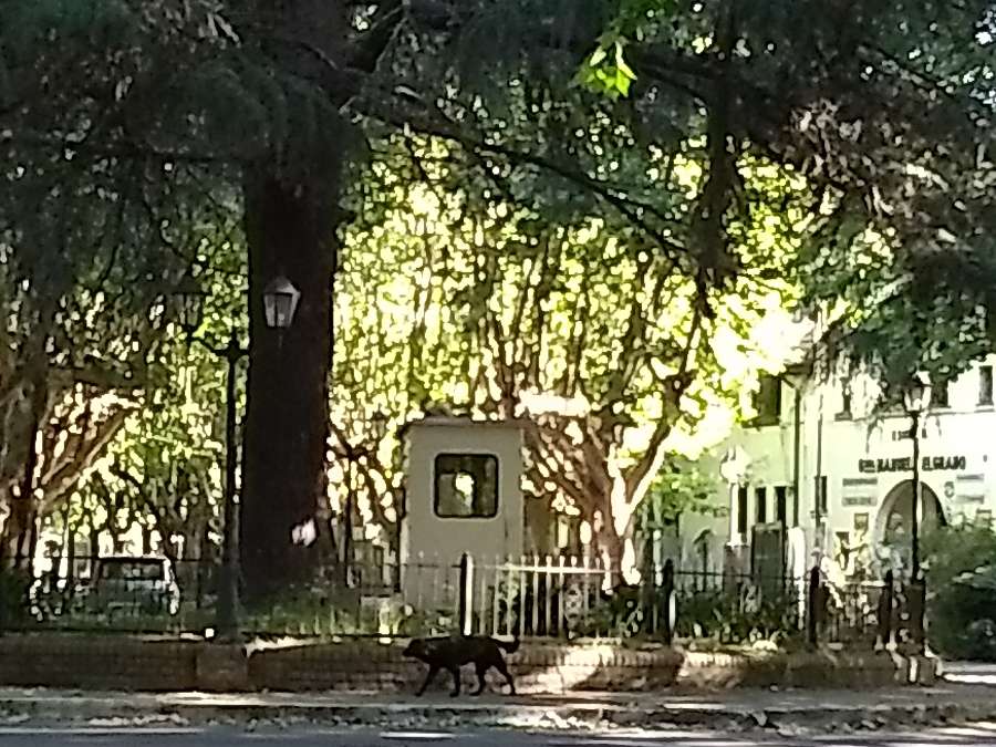 Campo en Quilmes: en Venta · No tiene dorm · 10 ha - Imagen 2