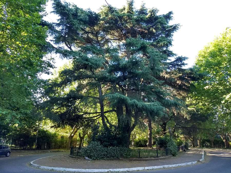 Campo en Quilmes: en Venta · No tiene dorm · 10 ha - Imagen 3