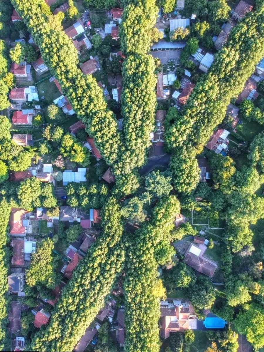 Campo en Quilmes: en Venta · 10 ha - Imagen 2