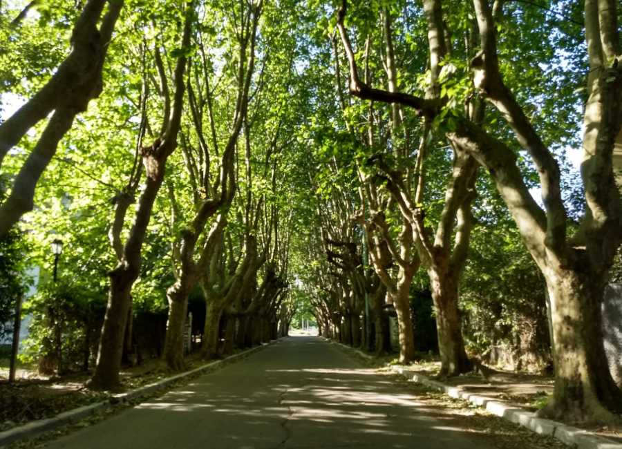 Campo en Venta Irala 550, Quilmes - Imagen 8