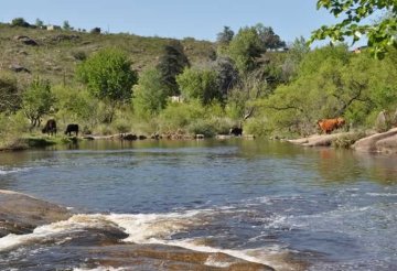 Lote en Venta Parque Siquiman, Córdoba - Imagen 2