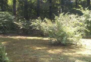 Casa en Venta en Tigre con · barrio privado · dueño directo · 1 dorm · 5.000 m² de lote - Imagen 3